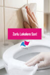 Livory Clean & Cool Serisi Yüzey Temizleme Havlusu Orkide Dokunuşu 1x100(100 YAPRAK)  | Clean & Fresh Serisi Sümbül Oda Kokusu 1 Adet - Görsel 9